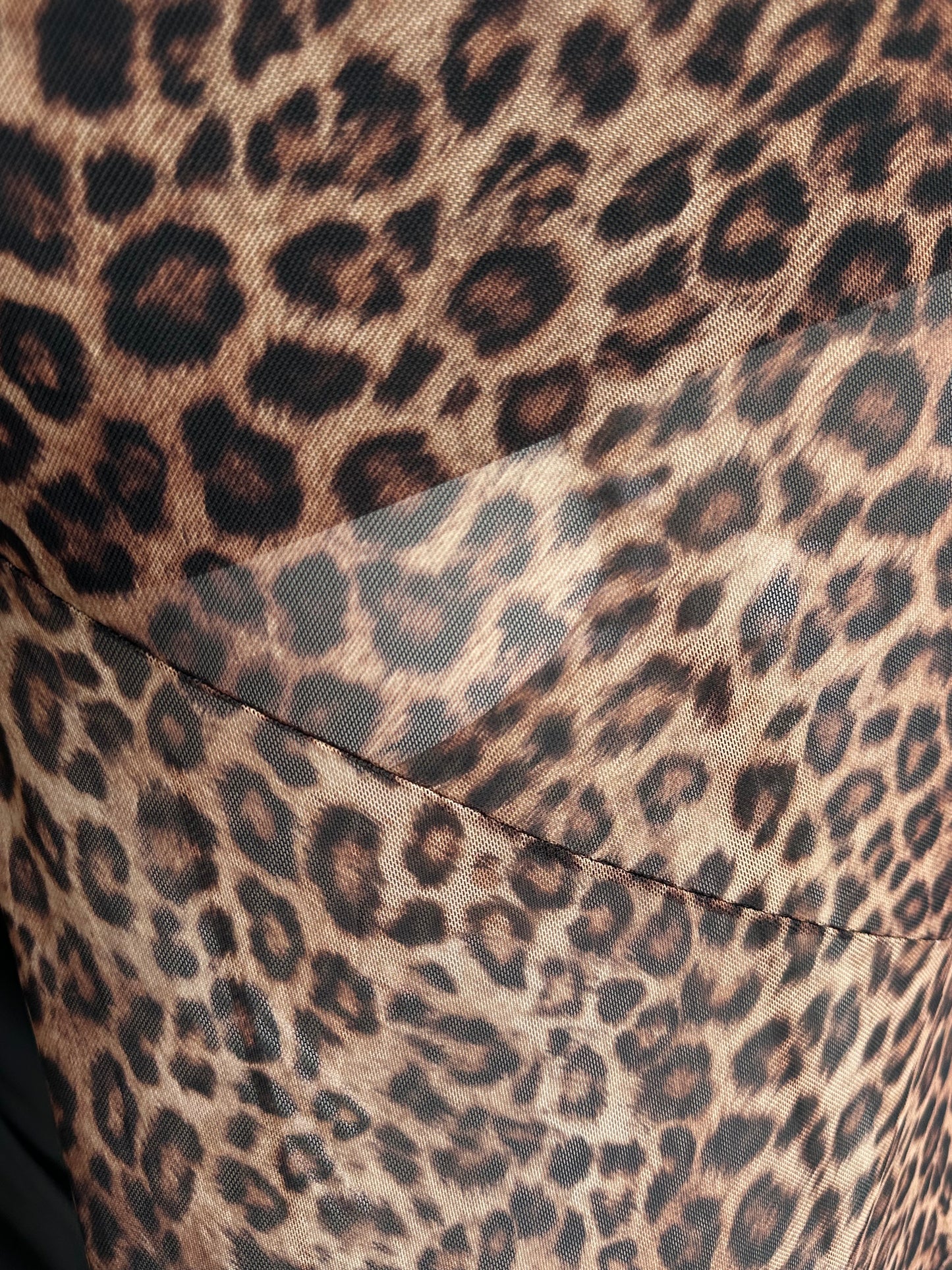 Set Animal Print Mesh